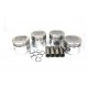 Piston et segment 82.4mm (1700)