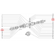 Tulipe sortie BT,BV,PONT